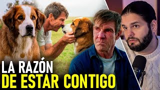 El PROPÓSITO de los PERROS en nuestra VIDA  | La Razón de Estar Contigo | Relato y Reflexiones