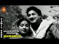 மலரும் கொடியும் பெண் என்பார் பாடல் Malar