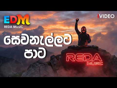 Sewanallata Paata (සෙවනැල්ලට පාට ) | Female Cover | Reda Music