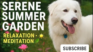 Pure Garden Vibes: Birds Singing, Bees Humming, Leaves Rustling