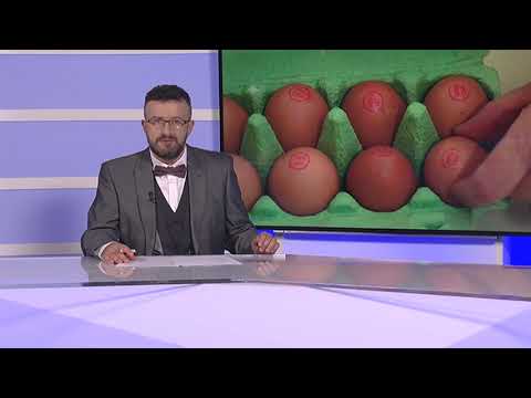 DNEVNIK 10.11.2020. Osječka televizija