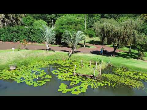 Lagoa Prateada São João do ivai pr 
