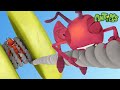 Yo-Yo | Antiks 🐜 | Funny Cartoons for Kids