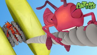 Download lagu Yo-Yo | Antiks 🐜 | Funny Cartoons for Kids mp3