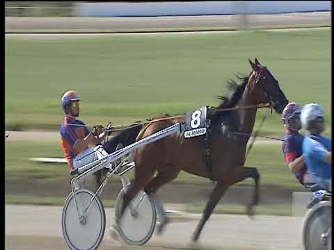 Trotto 16/06/2018 - 5ª corsa