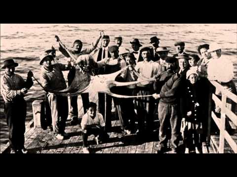 Search for the Giant Octopus - Tease and Post Title