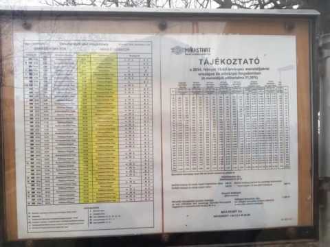 Венгрия, Soroksar, 10.02.2017.