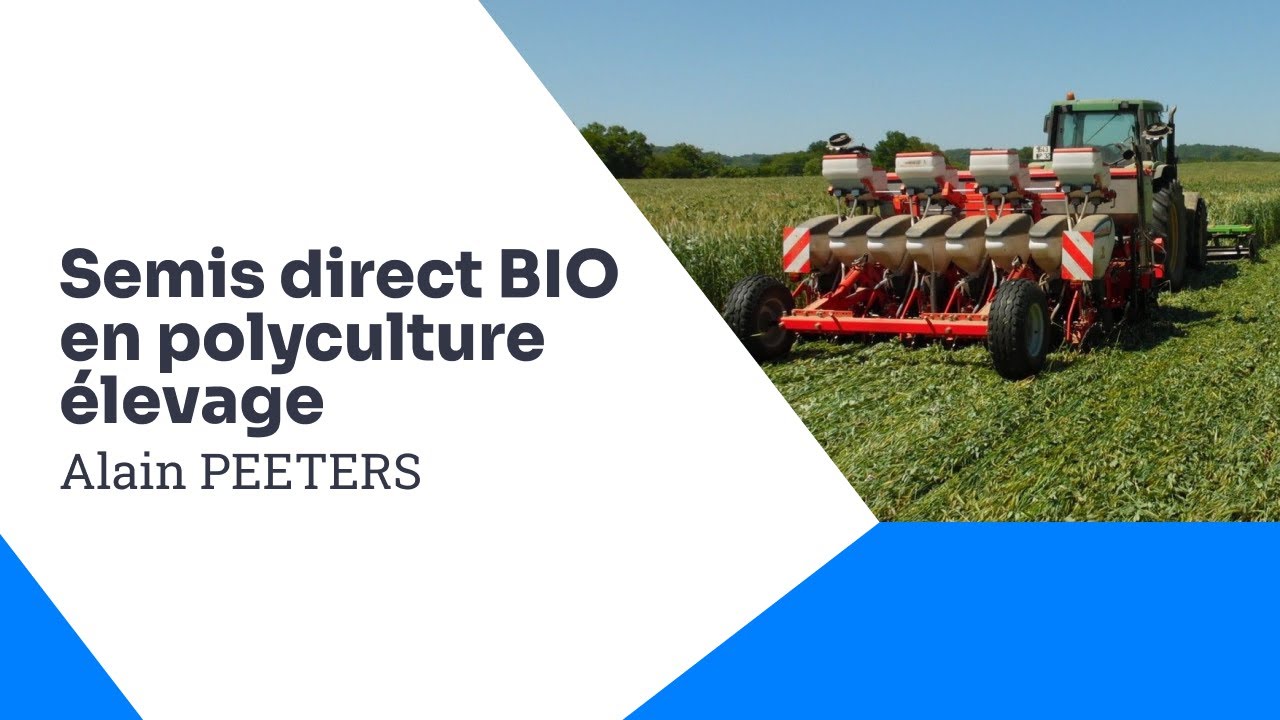 Agriculture biologique de conservation des sols en polyculture élevage, Alain Peeters