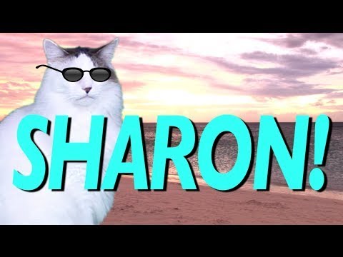 Cats Vs Sharon #shorts