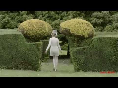 Orsten \ Hotel Costes X  ~ Fleur Blanche