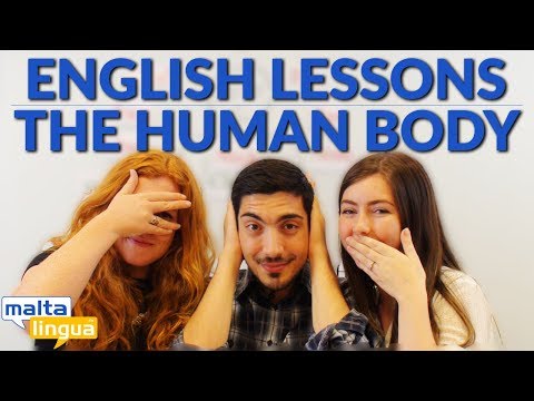 The Human Body Free English Vocabulary Lesson A2 B1 Pre intermediate