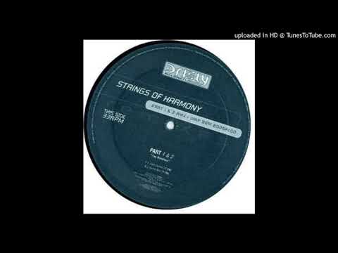 Strings Of Harmony — Wam Bam Boogaloo (Cooky's Extended Mix)