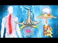 Spine Massage: (Warning:Very Powerful!) Try Listening For 4 Minute Timer, Activate 100% Of You Self,
