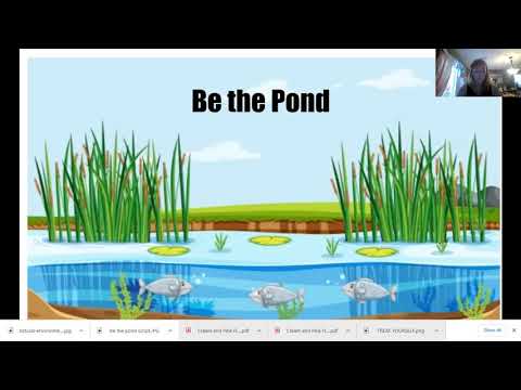Be the Pond