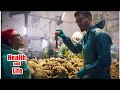 Fatberg Autopsy Secrets Of The Sewers A Bizarre Hour Of Looking At Human