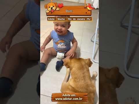 Vídeo de Dom