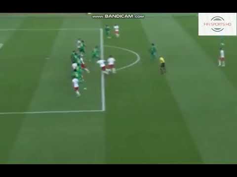 grzegorz krychowiak goal poland senegal 1 2 world cup 19062018