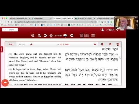 Many Voice One Haggadah 5781 - Rabbi Yitzchak Etshalom, Tzafon