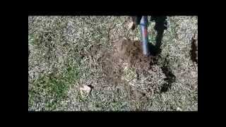 Download lagu Metal Detecting A Wheat Snake mp3 Download lagu Metal Detecting A Wheat Snake mp3