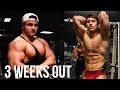 3 WEEKS OUT OF BODYBUILDING SHOW | GETTING MASSIVE ARMS