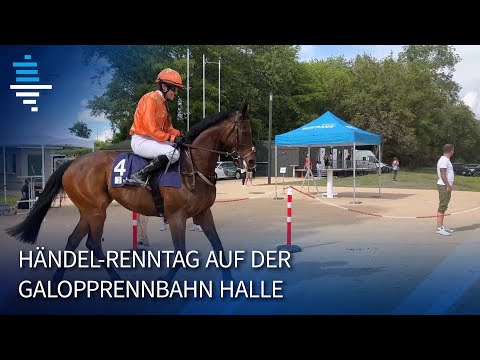 Aufgalopp 2024 auf der Pferderennbahn Halle (Saale)