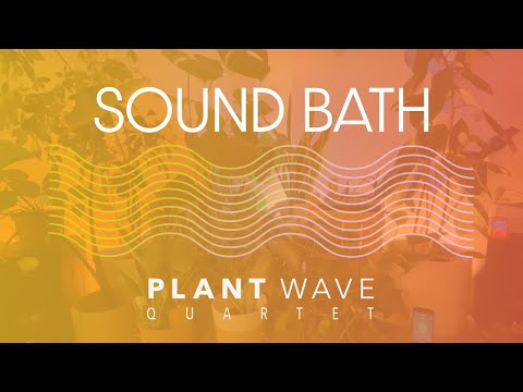 Plant Music Sound Bath - PlantWave Quartet - 528hz