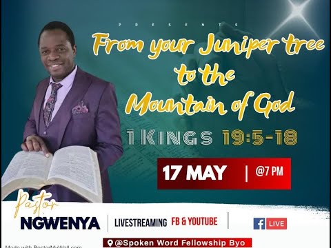 "From your Juniper tree to the mountain of God", 1 Kings 19:5-18 ...Rev. Dr. N. Ngwenya