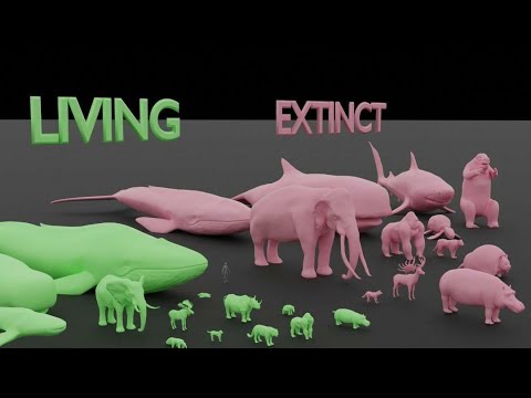 See An Eye-Opening Comparison Of The Largest Living And Extinct Animals