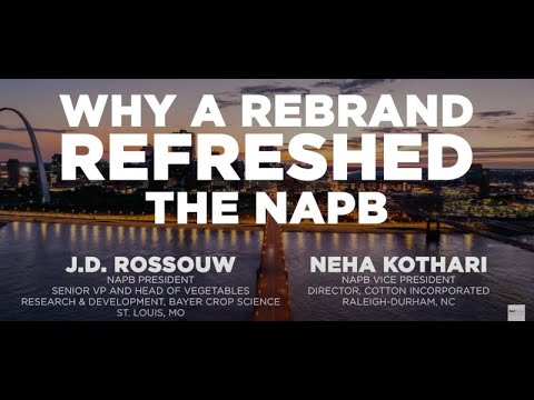 One-on-One: Why a Rebrand Refreshed the NAPB