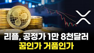 리플, 공정가 1만 8천달러…꿈인가 거품인가