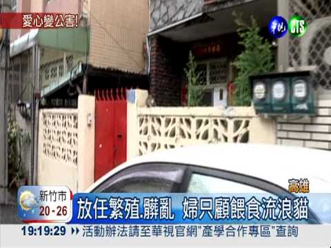 愛心太"霸道"! 婦顧餵貓不管髒亂