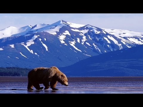 Epic Native American Music - Grizzly Bear Ridge