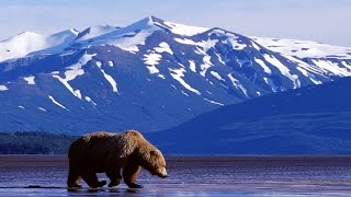 Epic Native American Music - Grizzly Bear Ridge