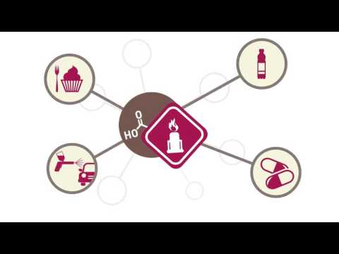 Succinity - biobase your success