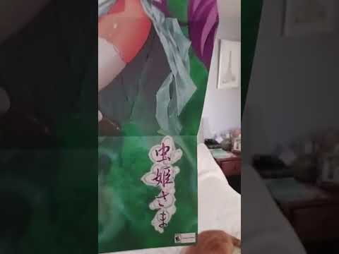 unboxing of Mushihimesama for Switch