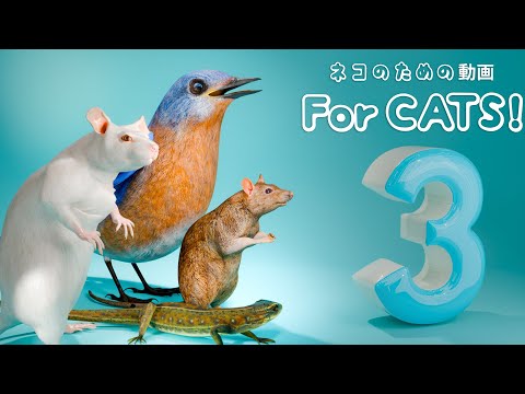 【猫が喜ぶ映像 3】ねずみ・トカゲ・ゴキブリ・てんとう虫・スズメ・蝉 4 時間 GAME FOR CATS 3