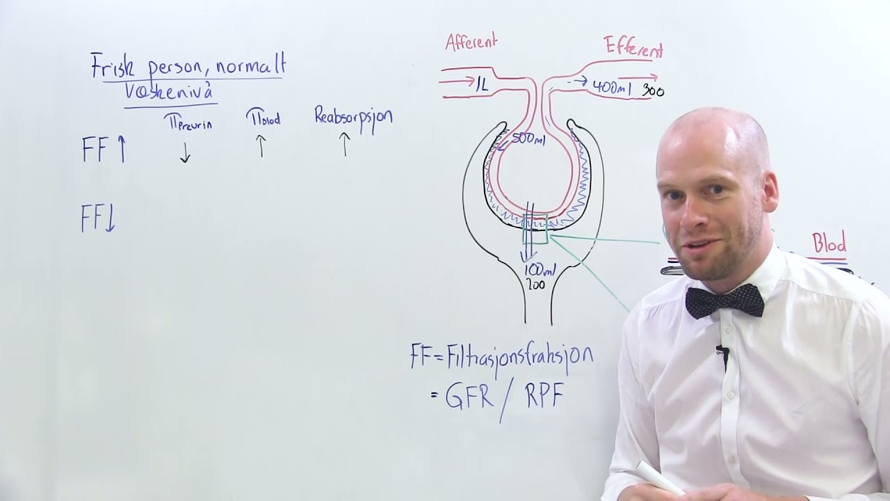 Glomerulotubulær balanse
