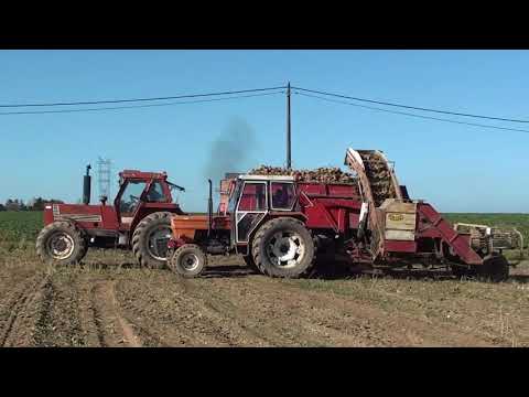 Landb. Lambert - Rèves - Ford 7810 - Fiat 1000 - Fiat 1000 Super - Deutz 7206 - Fiat 1580 DT
