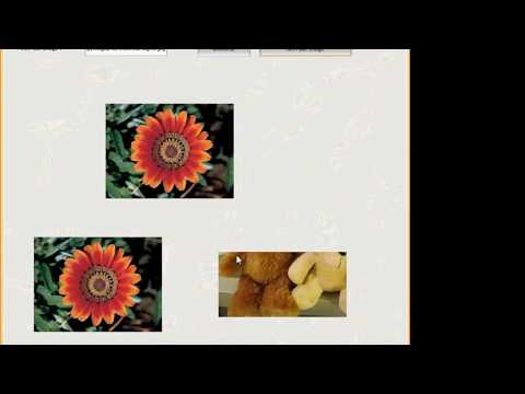 Secret Image parts Sharing on Multiple images