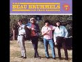 The Beau Brummels - I Cannot Hide - Ron Elliott Demo (Stereo)