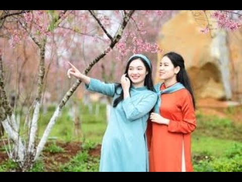 Như lá từng xanh - Huỳnh Trang