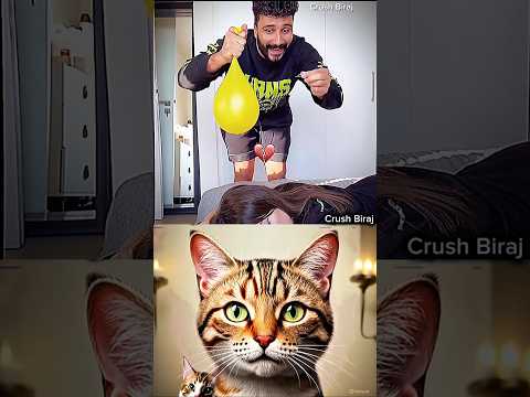 funny prank gone wrong 🤣#cat #funny #dance #shorts