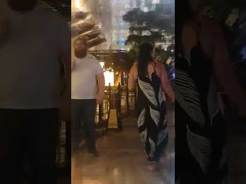 Thumbnail for Oasis of the Seas Central Park at Night #lifeisbutadream #cruiseship #oasisoftheseas