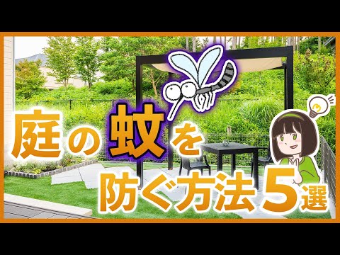 効果的な抗蚊植物ニンニク