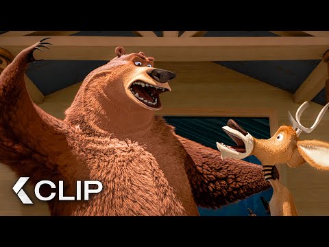 Boog’s Big Mistake Sparks Total Panic - OPEN SEASON Clip (2006)