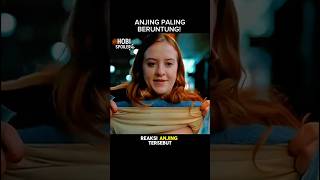 Download lagu PENGEN JADI SUPER HERO JUGA! #spoilerfilm #shorts #film #spoiler #shortvideo #Cerit #superhero mp3