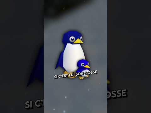 Miniature de la vidéo 1 du pack Shorts Maxim : contenu vertical humoristique au montage rythmé