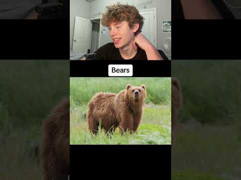 Animals you can’t run away from 🤯