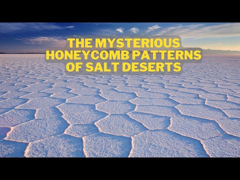 The Mysterious Honeycomb Patterns of Salt Deserts
