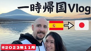 ハビと初めての一時帰国Vlog【2023年11月】